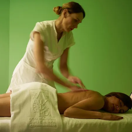 Aparthotel Aux Pieds Du Roi - &