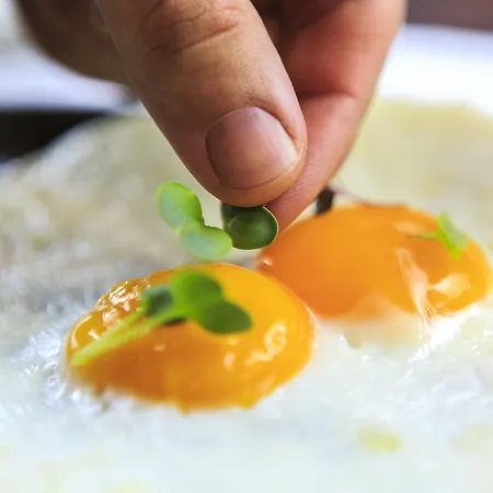 Aux Pieds Du Roi - & Aparthotel 4*